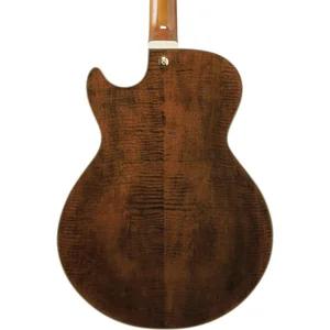 Ibanez AG95MG-DA