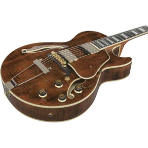 Ibanez AG95MG-DA