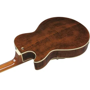 Ibanez AG95MG-DA