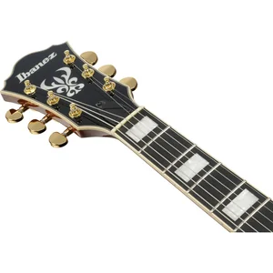 Ibanez AG95MG-DA