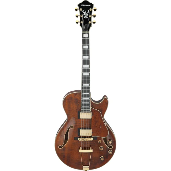 Ibanez AG95MG-DA