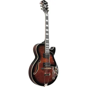 Ibanez AG95QA-DBS