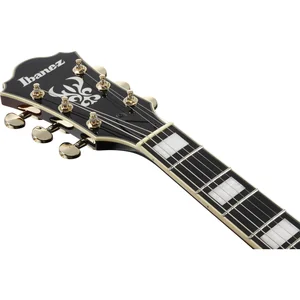 Ibanez AG95QA-DBS