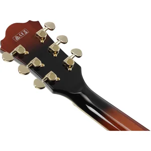 Ibanez AG95QA-DBS