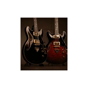 Ibanez AM73G-BK