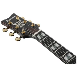 Ibanez AMH100FM-DVS