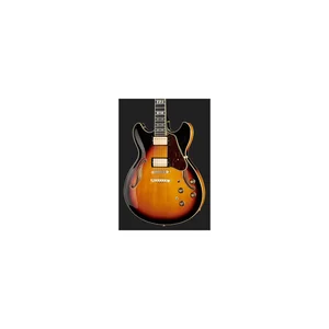 Ibanez AS113-BS
