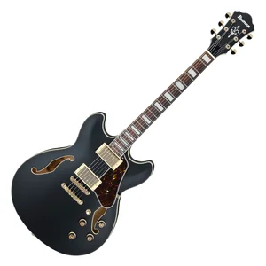 Ibanez AS73 G BKF