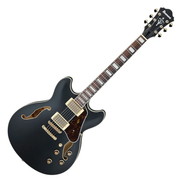Ibanez AS73 G BKF