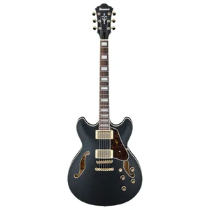 Ibanez AS73 G BKF