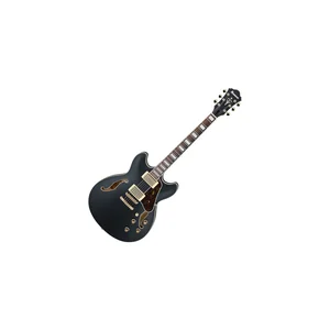 Ibanez AS73 G BKF