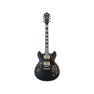 Ibanez AS73 G BKF