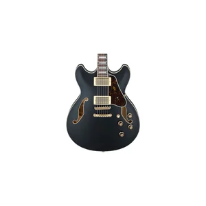 Ibanez AS73 G BKF