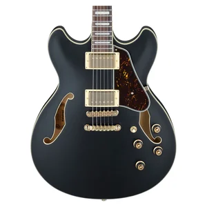 Ibanez AS73 G BKF