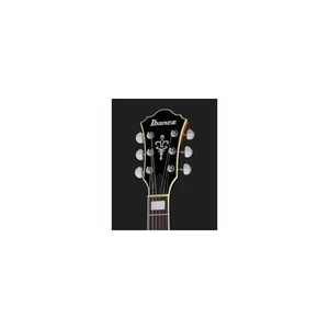 Ibanez AS73-TBC Bundle