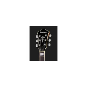 Ibanez AS73-TBC