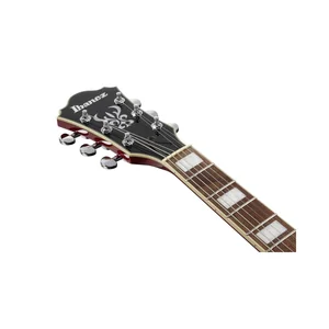 Ibanez AS73-TCD