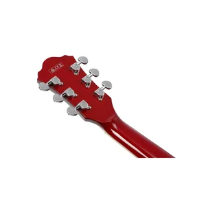Ibanez AS73-TCD
