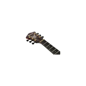 Ibanez ASH300-TBC