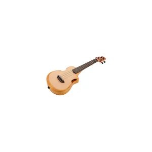 Ibanez AUC10E-OPN
