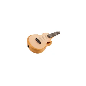 Ibanez AUC10E-OPN