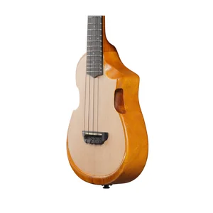 Ibanez AUC10E-OPN