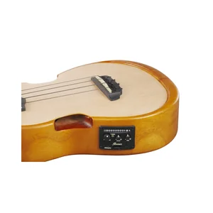 Ibanez AUC10E-OPN