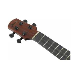 Ibanez AUC14-OVL
