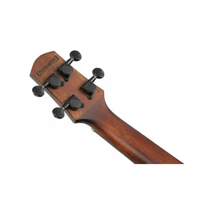 Ibanez AUC14-OVL