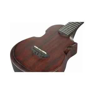 Ibanez AUC14-OVL