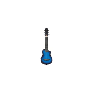Ibanez AUP10FMNE-TBO