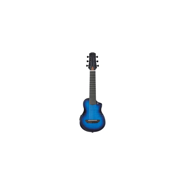 Ibanez AUP10FMNE-TBO