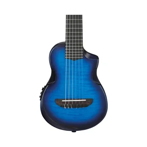 Ibanez AUP10FMNE-TBO