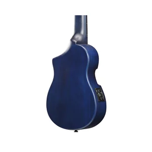 Ibanez AUP10FMNE-TBO