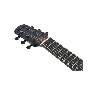 Ibanez AUP10FMNE-TBO
