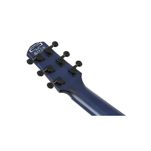 Ibanez AUP10FMNE-TBO