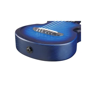Ibanez AUP10FMNE-TBO