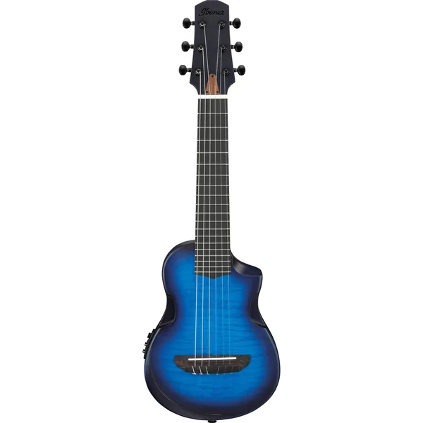 Ibanez AUP10FMNE-TBO