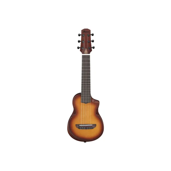 Ibanez AUP10N-OLB