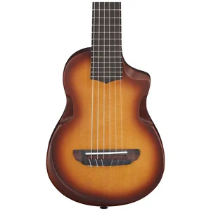 Ibanez AUP10N-OLB
