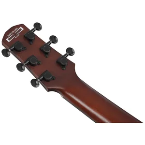 Ibanez AUP10N-OLB