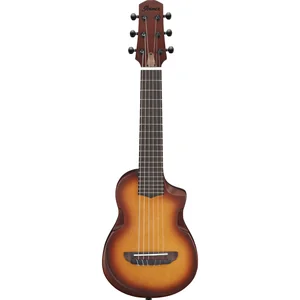 Ibanez AUP10N-OLB