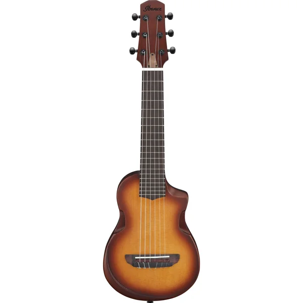 Ibanez AUP10N-OLB