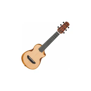 Ibanez AUP10N-OPN