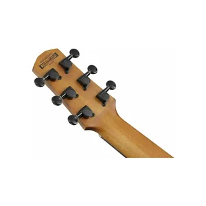 Ibanez AUP10N-OPN