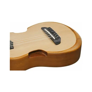 Ibanez AUP10N-OPN