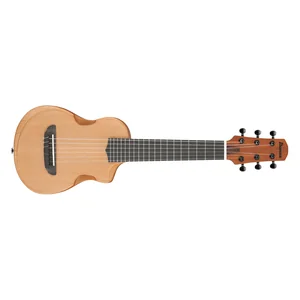 Ibanez AUP10N-OPN