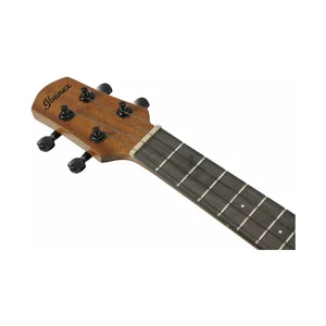 Ibanez AUT10-OPN