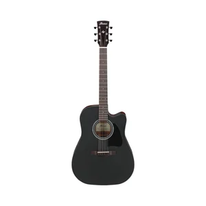 Ibanez AW247CE-WKH