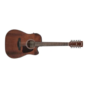 Ibanez AW5412CE-OPN Artwood